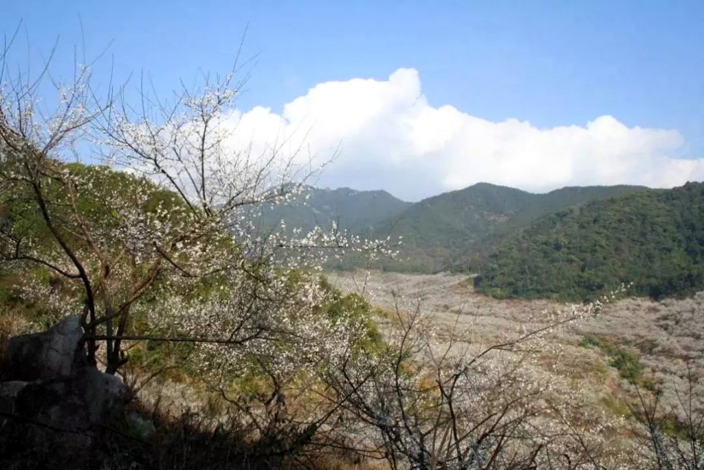 惠东梁化国家森林公园图片