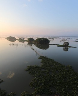 潼湖湿地