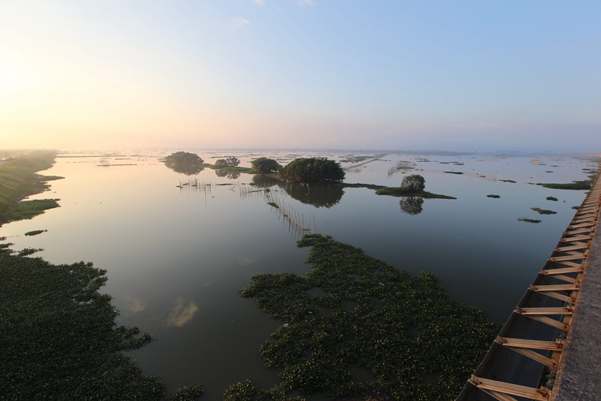 惠州潼湖湿地自然保护区