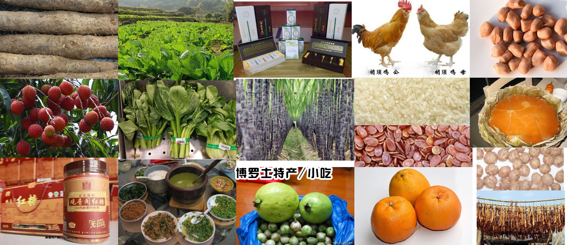 客家擂茶「博罗土特产」