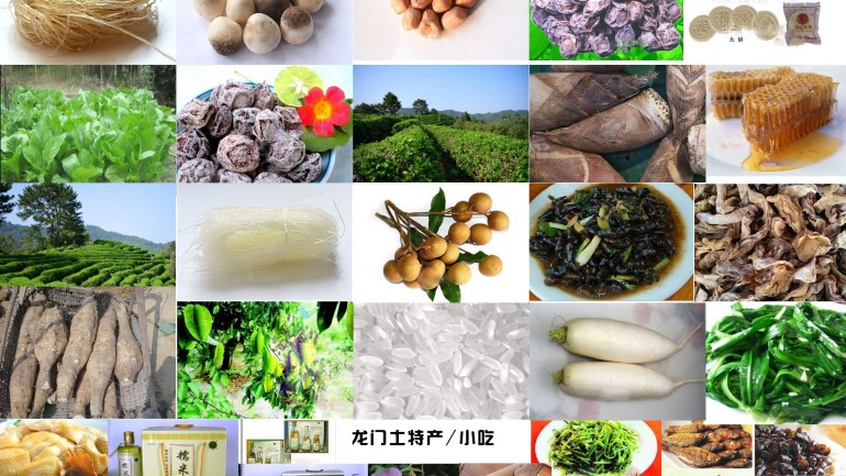 鸡肉花「龙门土特产」